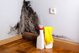 Mold Removal for HVAC Installations